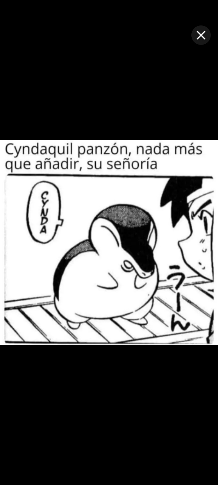 Lanzamiento